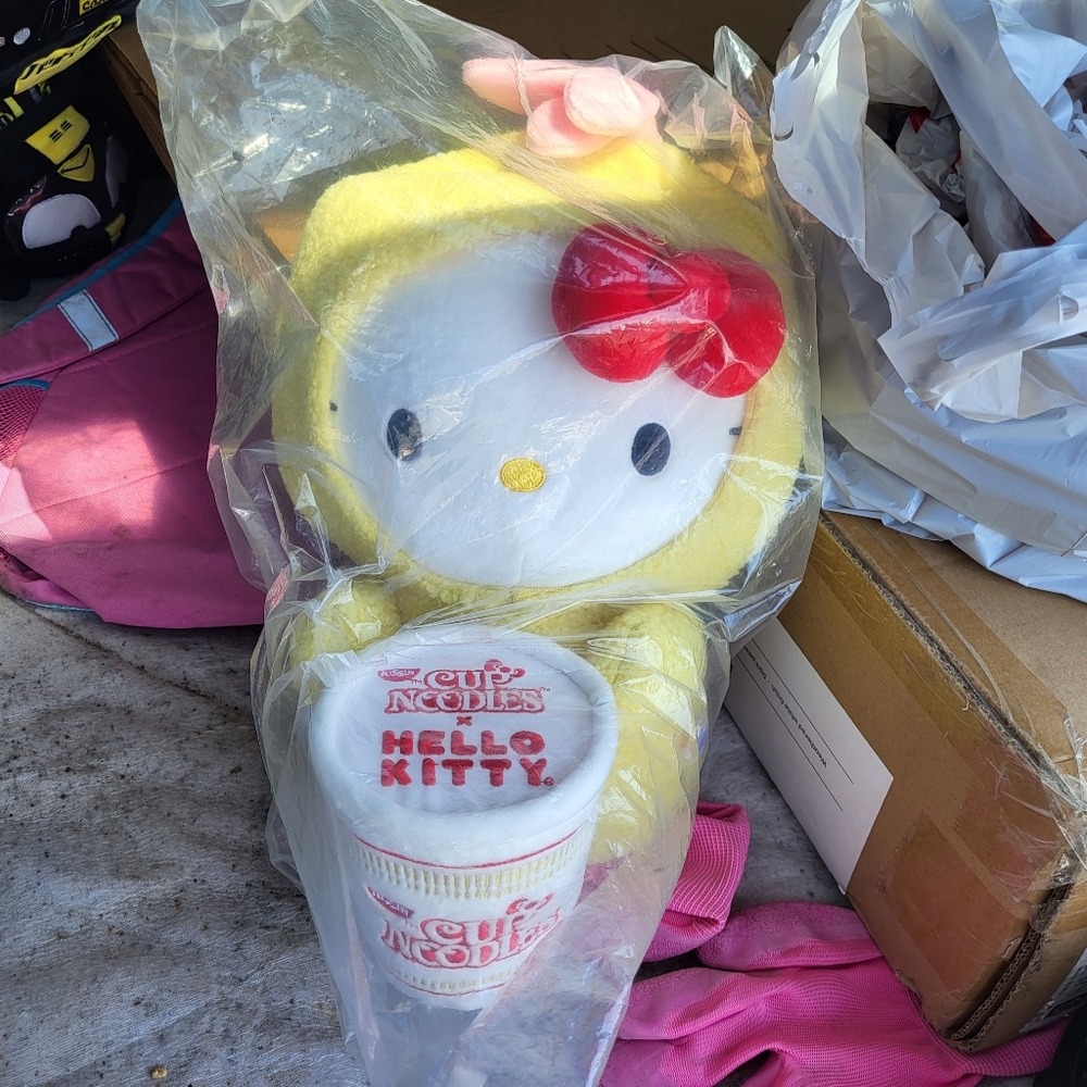 COPY - Kidrobot Hello kitty Nissin
